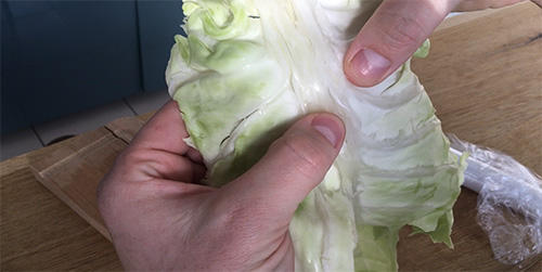 How to Make Cabbage Bandages to Treat Inflammation and Joint Pain