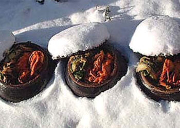 What Foods Can You Bury Underground For Winter