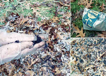 How To Make A Lot Of Compost This Winter