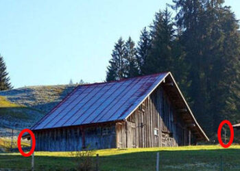 Quick Trick to See if You Have Gold on Your Property