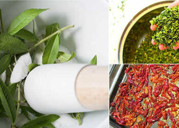 5 Herbs That Will Relieve Your Joint Pain