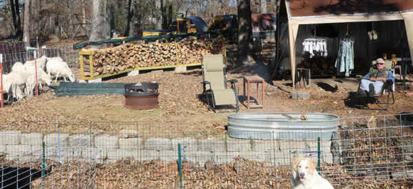 Homesteading While You Are Sick For A Long Period Of Time