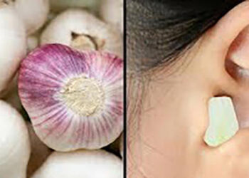 Why Put Garlic in Your Ear