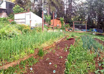 12 Ways To Make An Extra $1000 A Month On A Small Homestead