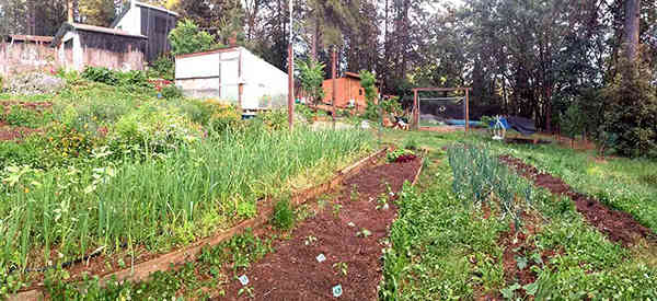 12 Ways To Make An Extra $1000 A Month On A Small Homestead