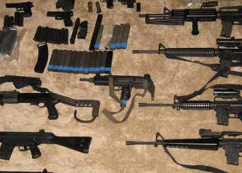 15 Best Guns for Preppers