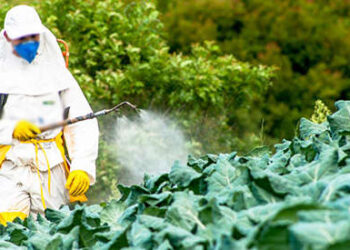 4 Ways to Keep Monsanto Out Of Your Backyard