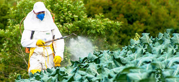 4 Ways to Keep Monsanto Out Of Your Backyard