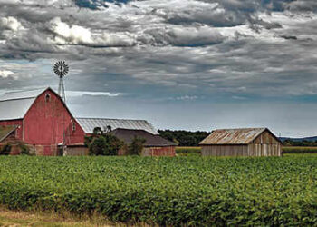 Best States for Homesteading