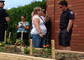 How Growing Your Own Vegetables Can Get You Arrested