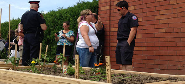 How Growing Your Own Vegetables Can Get You Arrested