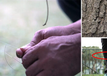 How To Install A Tripwire Alarm On Your Property