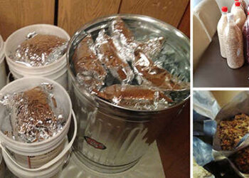 Sealed Foods that Last Forever