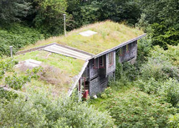 Is It Legal To Go Off The Grid In Your State?