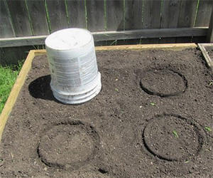 The Three Sister Garden Plans How To Get The Most Out Of Every Square Feet