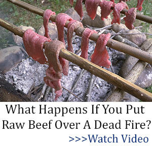 tlw banner What Happens If You Put Raw Meat Over A Dead Fire