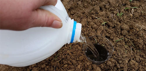 15 Survival Uses for Plastic Bottles