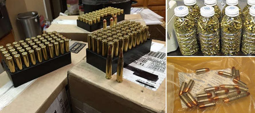 Ammo Storage Tips Every Prepper Should Know
