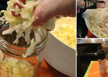 How To Make Sauerkraut – The Most Effective Probiotic