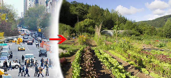 Urbanites Moving To Rural Paradise Ruining It For The Locals
