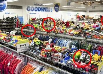 13 Prepper items you should look for at Goodwill CP