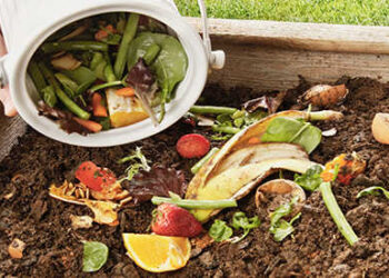 39 Items You Can Compost