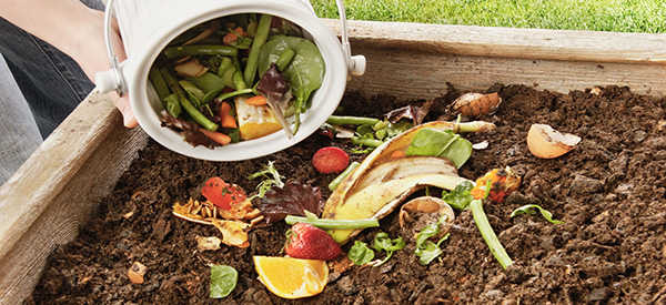 39 Items You Can Compost