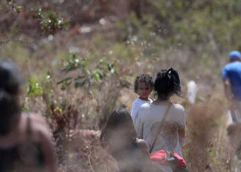 The Most Common Plants Venezuelans Are Using To Treat Themselves After The Pharmacies Ran Dry