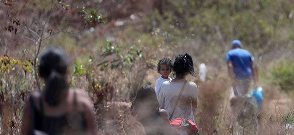 The Most Common Plants Venezuelans Are Using To Treat Themselves After The Pharmacies Ran Dry