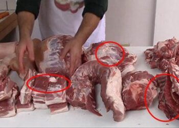 The ultimate meat processing charts for preppers