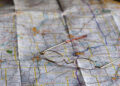 Worst 5 States for Preppers to Retire