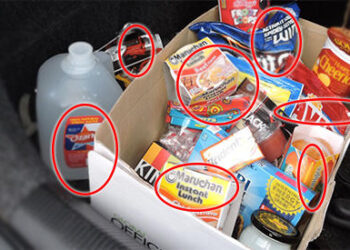 12 Foods I Keep In My Car At All Times