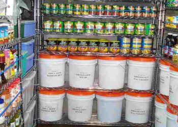 meal planning a month's worth of survival food with 200 calories per day