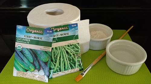 DIY Seed Tapes With Toilet Paper