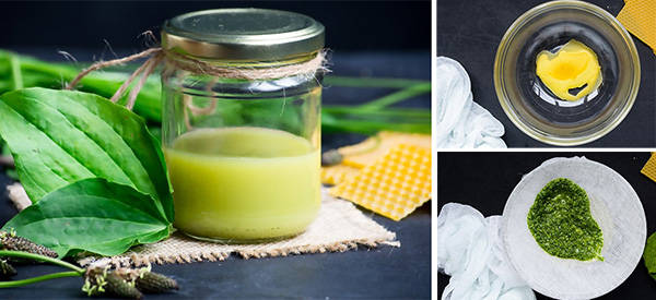How To Make A Plantain Salve