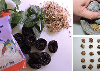 The Lost Ninja Superfood