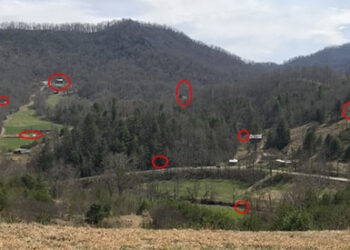 How I Survived Alone for 10 Months Living Off the Land