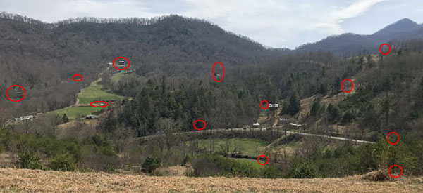 How I Survived Alone for 10 Months Living Off the Land