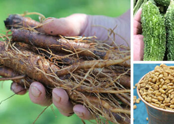 9 Natural Remedies That People With Diabetes Will Find Useful