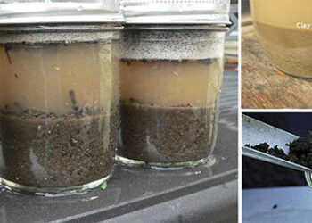 DIY - Mason Jar Soil Test