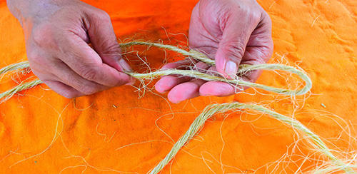 How To Make A Rope Out Of Common Plants