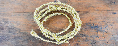 How To Make A Rope Out Of Common Plants