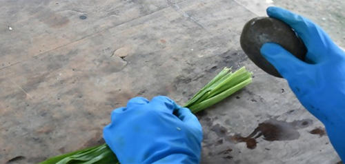 How To Make A Rope Out Of Common Plants