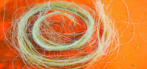 How To Make A Rope Out Of Common Plants
