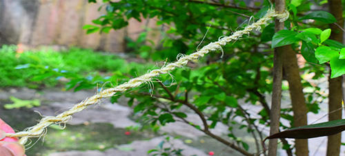 How To Make A Rope Out Of Common Plants