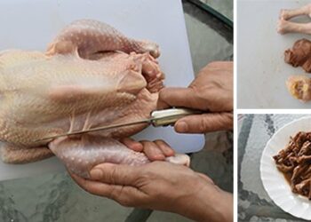 The Ultimate Chicken Meat Processing Guide for Preppers