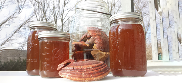 10 Reasons Why You Need to Make Room for the God of Fungi in Your Backyard