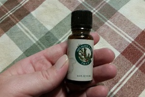 6 Easy Ways To Remove Mold Naturally