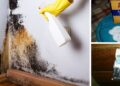 6 Easy Ways To Remove Mold Naturally
