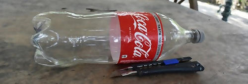 How To Catch Fish With A Bottle